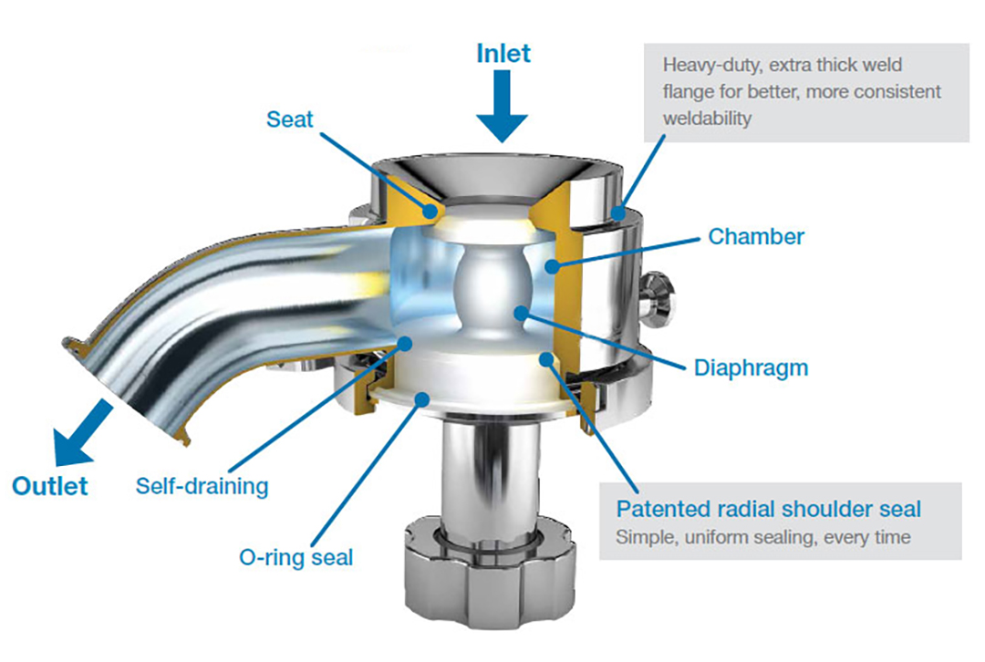 2. 无菌罐底阀 解刨图 2. 无菌罐底阀 解刨图