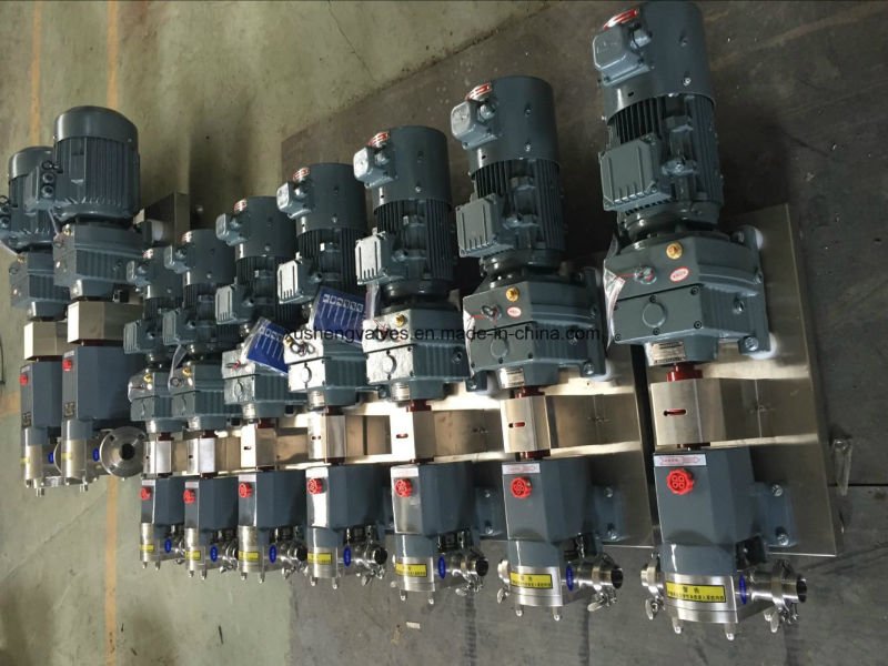 A&ccedil;o inoxid&aacute;vel 304 Bomba de l&oacute;bulo rotativo