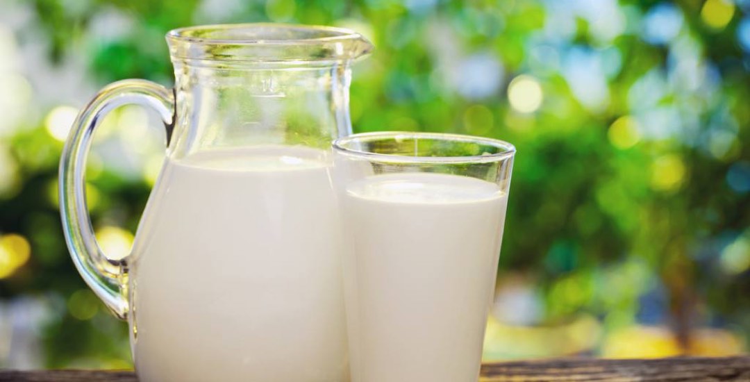 Leite de leite