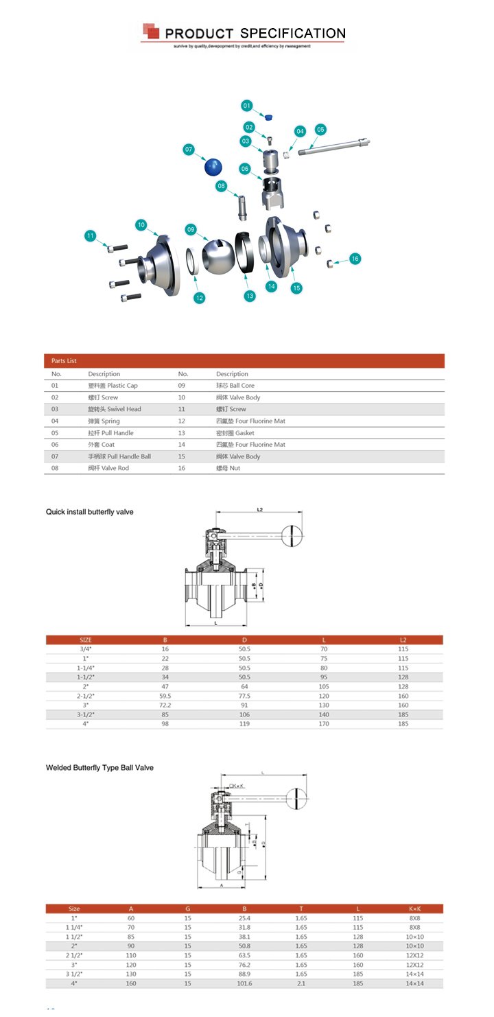 A&ccedil;o inoxid&aacute;vel SS304 DN20-DN100 TC Triping V&aacute;lvula de esfera de borboleta