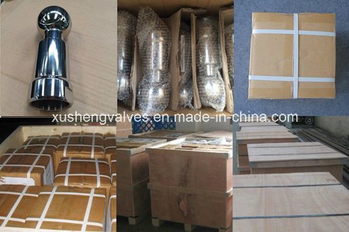 A&ccedil;o inoxid&aacute;vel SS304 SS316L CIP Revolved Spray Ball