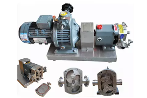 bomba de l&oacute;bulo sanit&aacute;ria