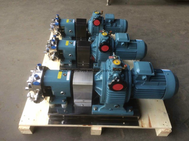 A&ccedil;o Inoxid&aacute;vel SS304 SS316L Chocolates Isolamento T&eacute;rmico Jaqueta Rotary Bomba