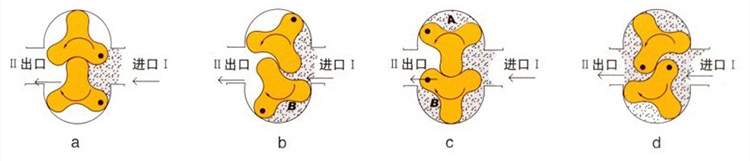 Bomba de l&oacute;bulo de rotor de a&ccedil;o inoxid&aacute;vel sanit&aacute;rio